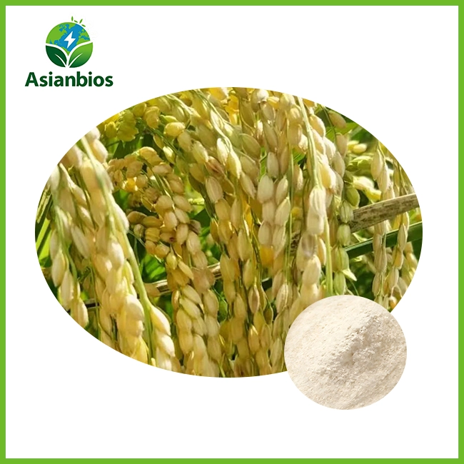 hydrolyzed rice extract